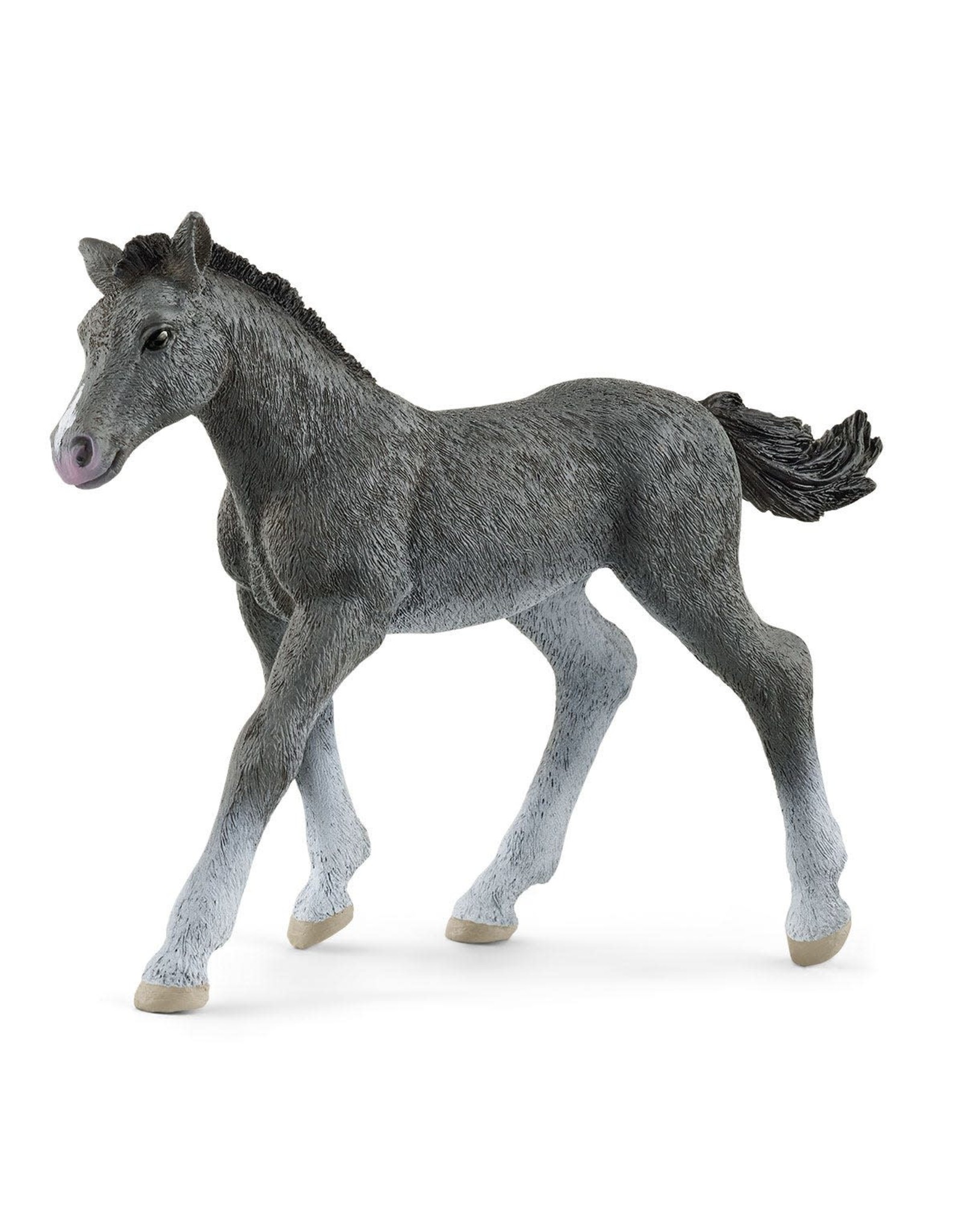 Schleich Trakehner Foal