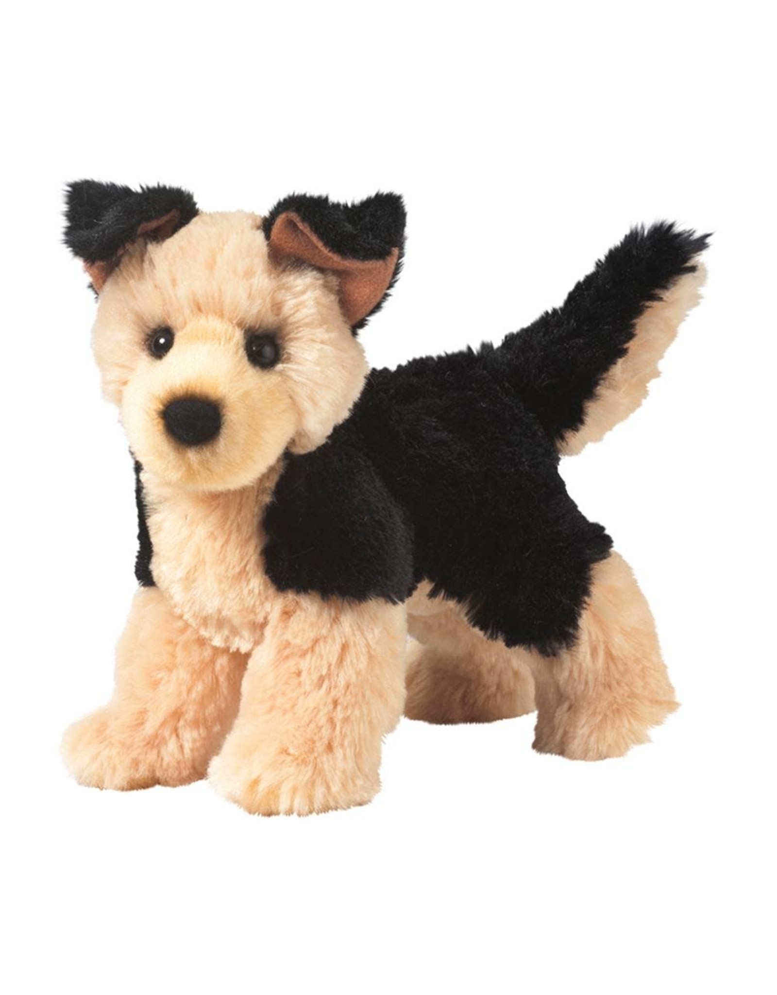 Douglas Sheba German Shepherd