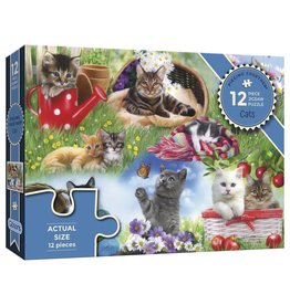 Gibsons Cats XXL 12pc