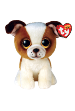 Ty Hugo - Brown and White Dog Reg