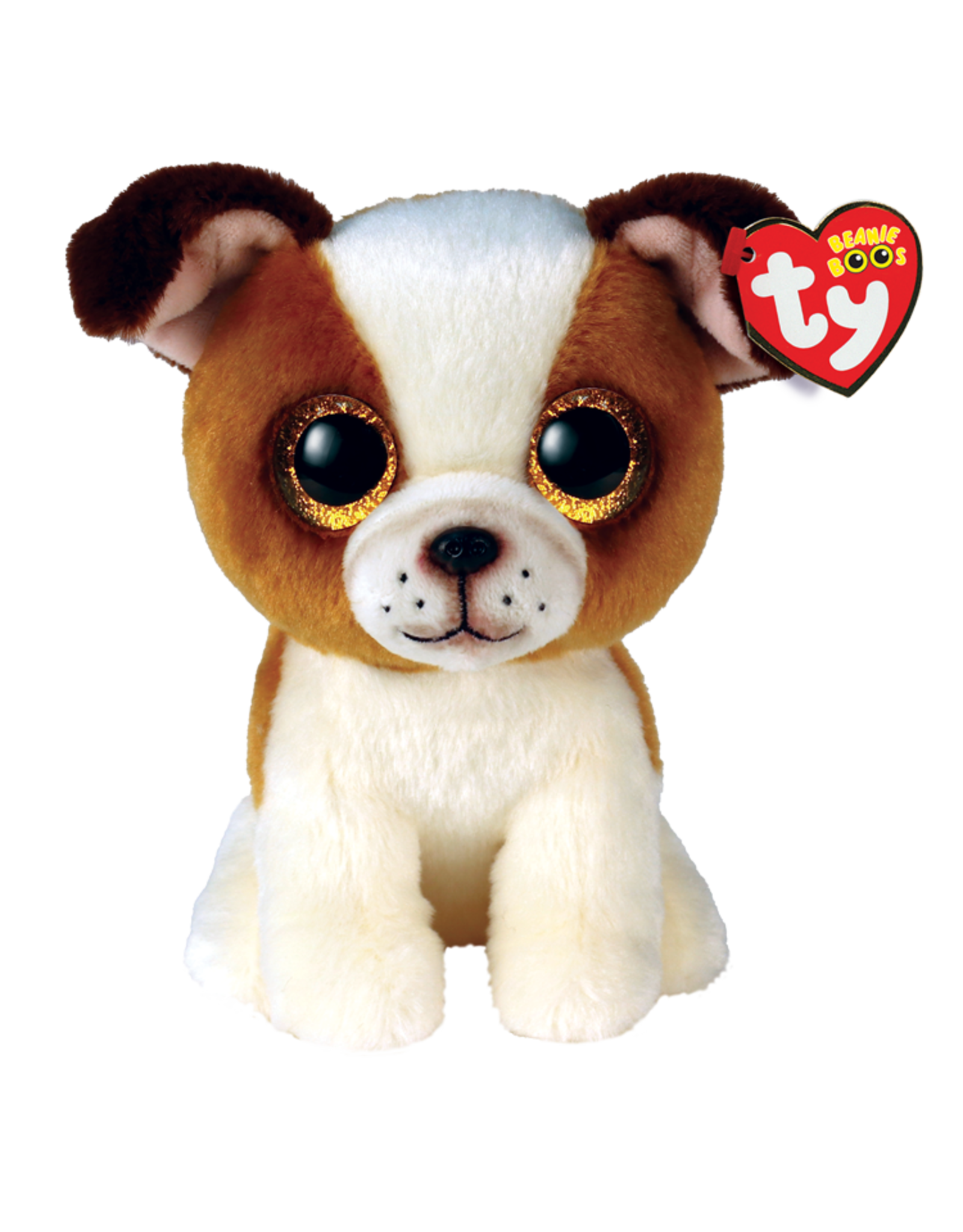 Ty Hugo - Brown and White Dog Reg