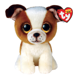 Ty Hugo - Brown and White Dog Reg