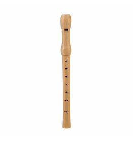 Schylling Recorder