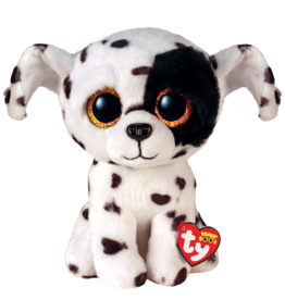 Ty Luther - Spotted Dalmatian Reg