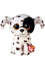 Ty Luther - Spotted Dalmatian Reg