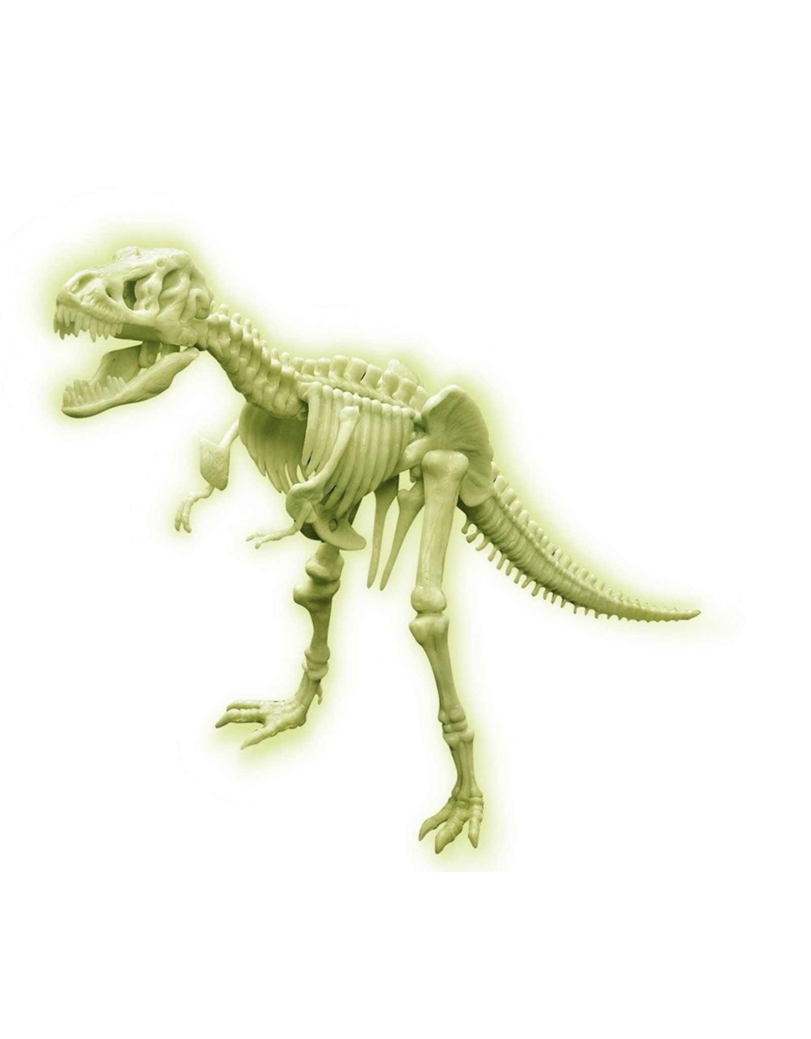 4M Glow T-Rex Skeleton