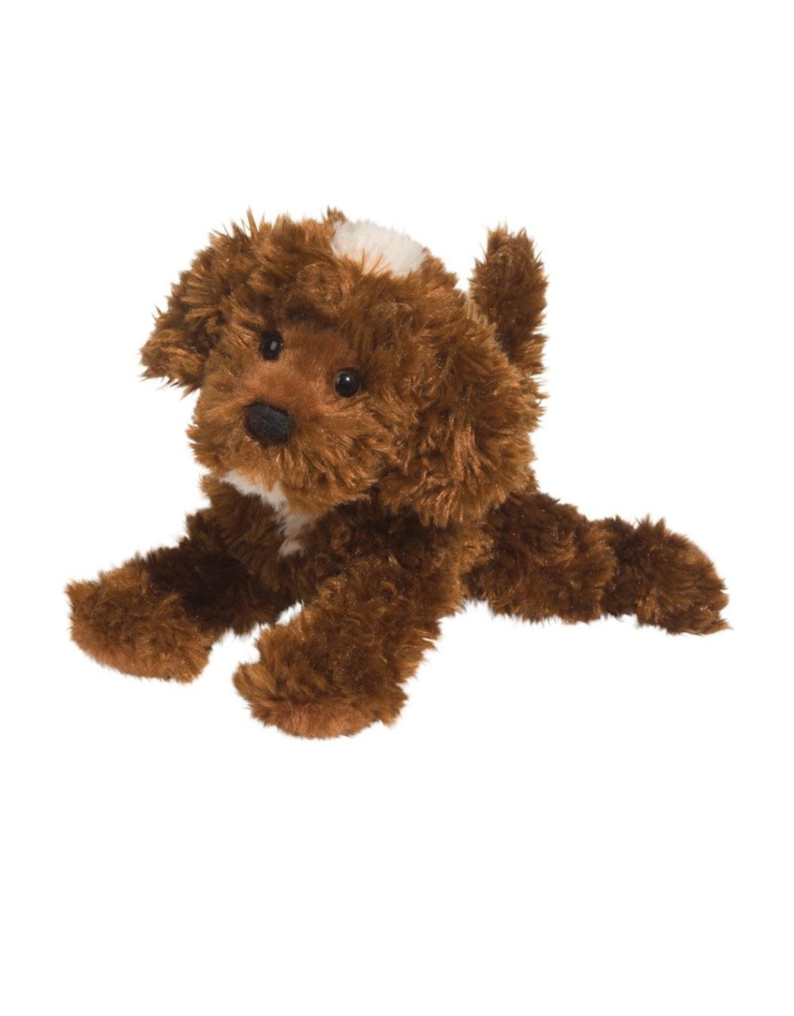 Douglas Bosco Chocolate Labradoodle