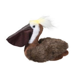 Douglas Beachy Pelican