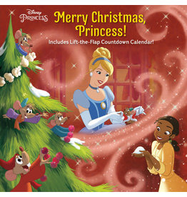 Merry Christmas, Princess! (Disney Princess)