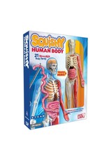 Smart Lab Squishy Human Body