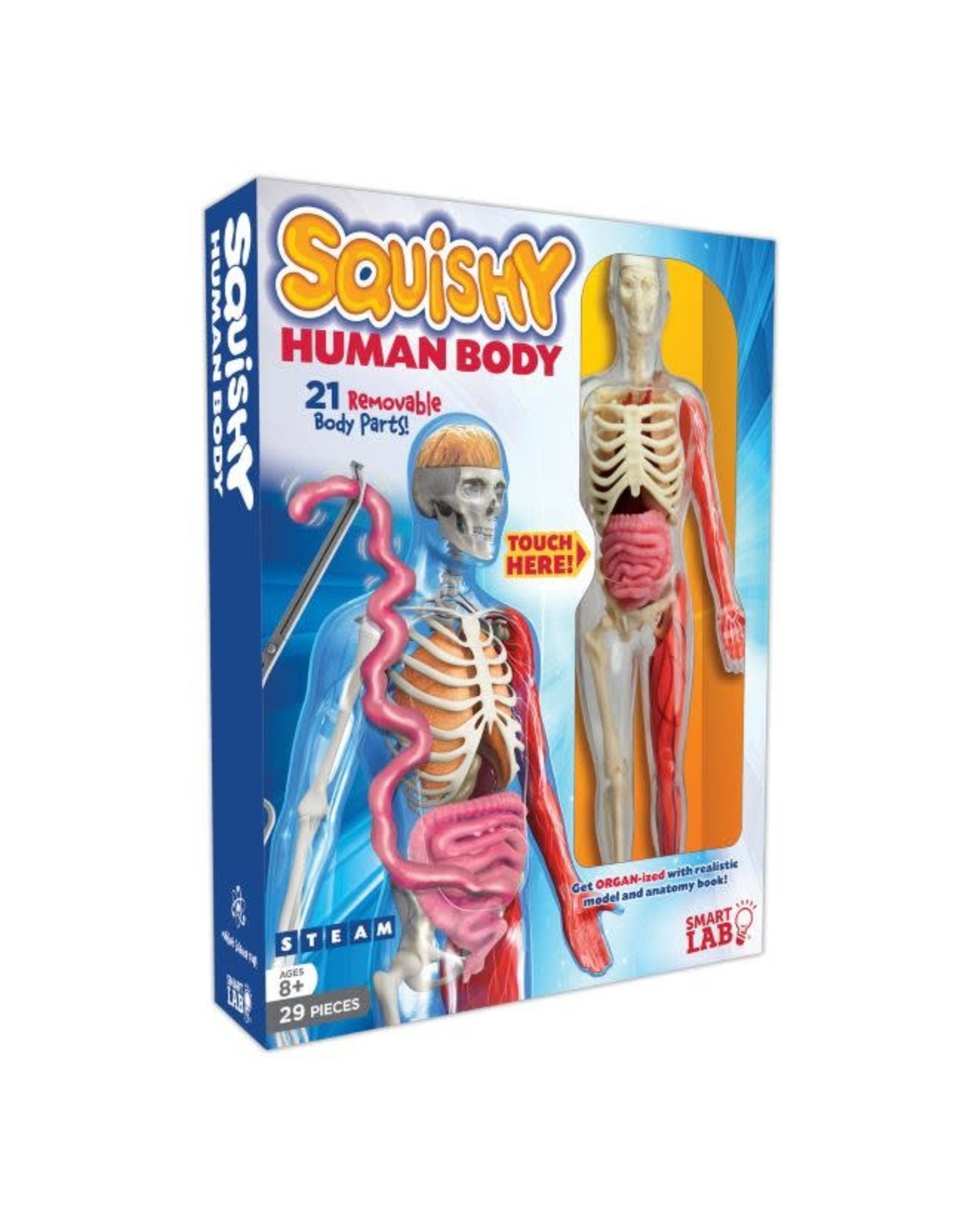 Smart Lab Squishy Human Body