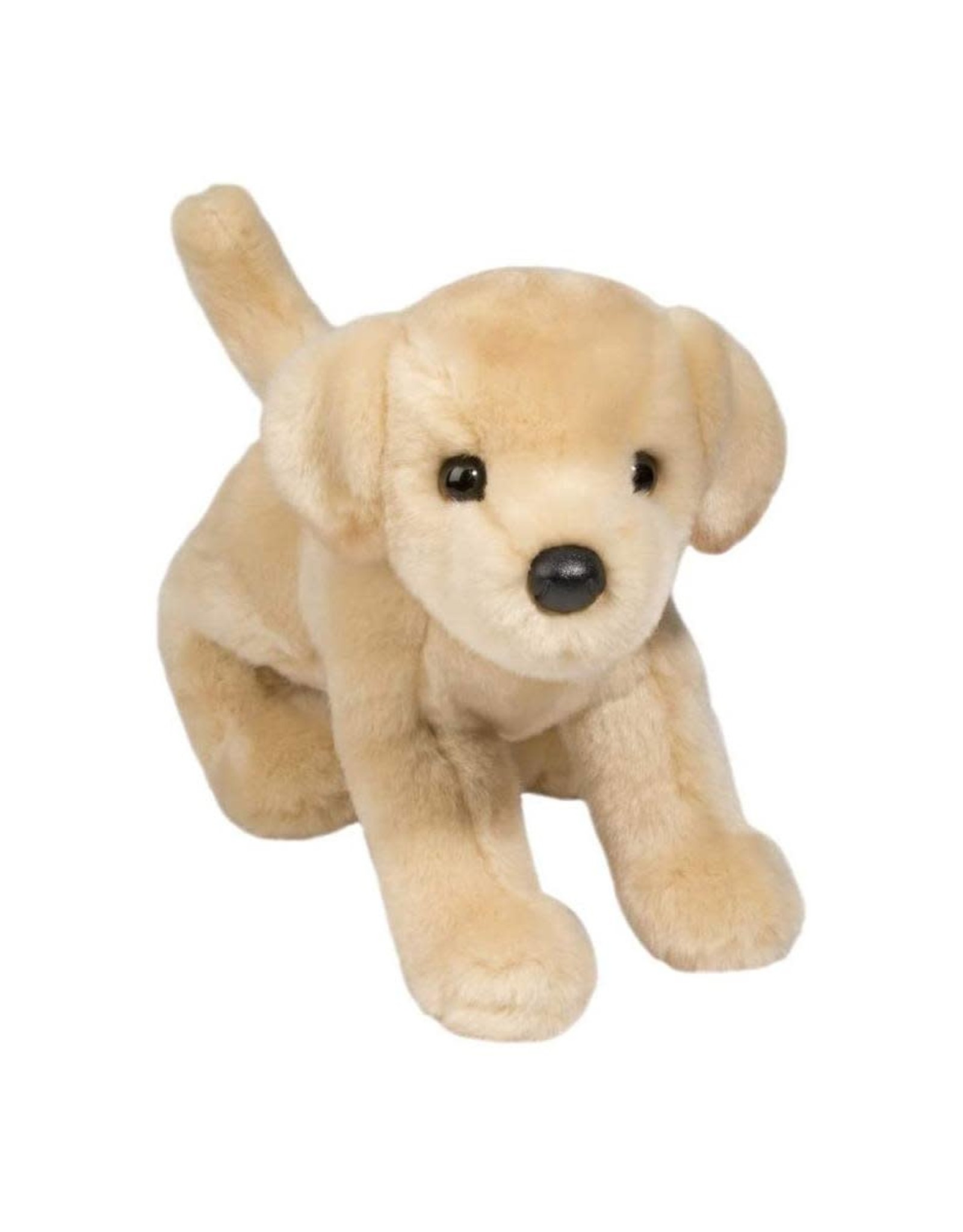 Douglas Spankie Yellow Lab