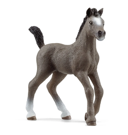 Schleich Cheval de Selle Francais Foal