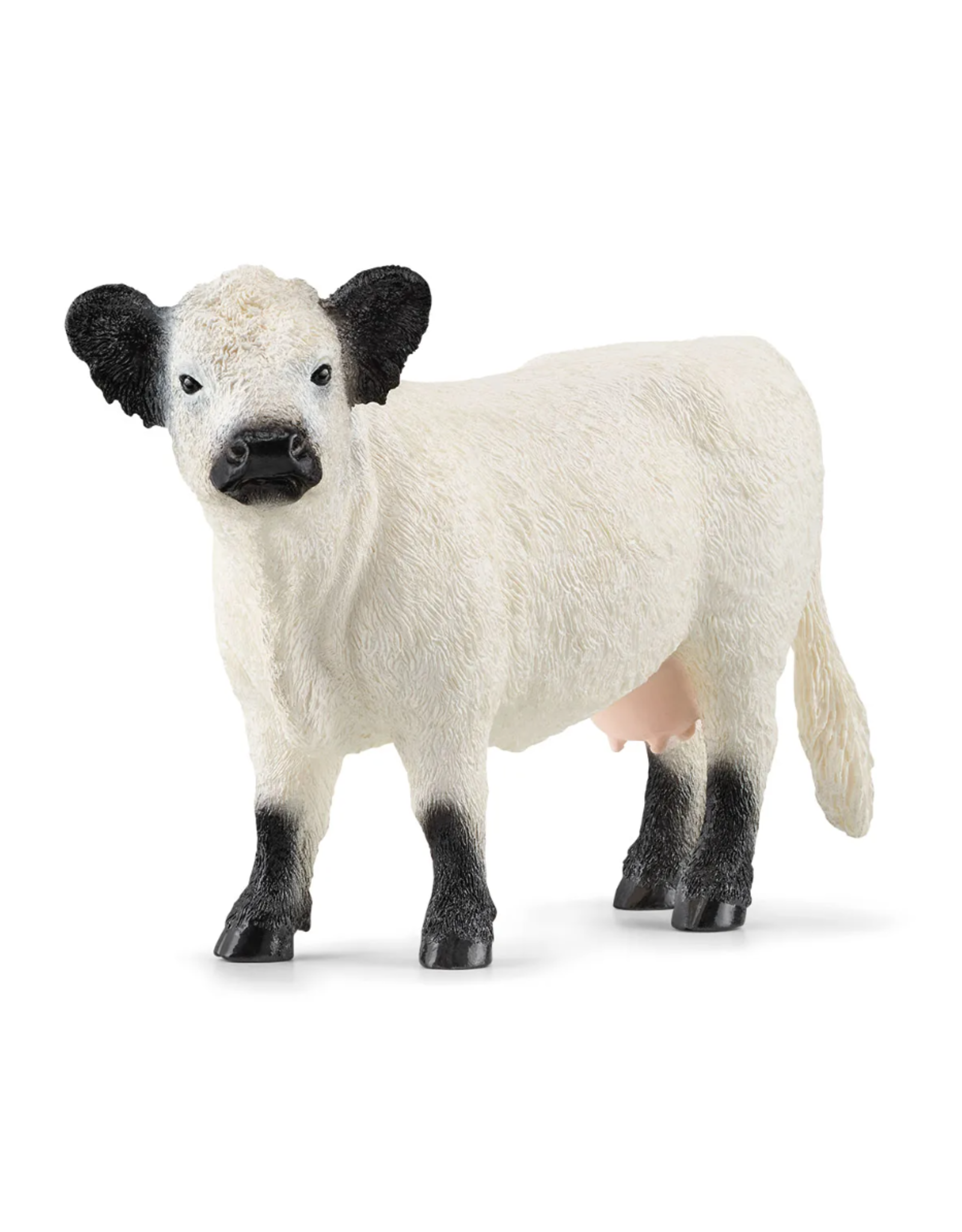 Schleich Galloway Cattle