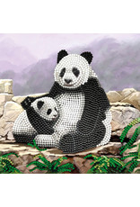D.I.Y Crystal Art Kit Crystal Art Card Kit - Panda