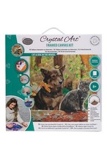 D.I.Y Crystal Art Kit Crystal Art Medium Framed Kit - Cat and Dog in the Woods