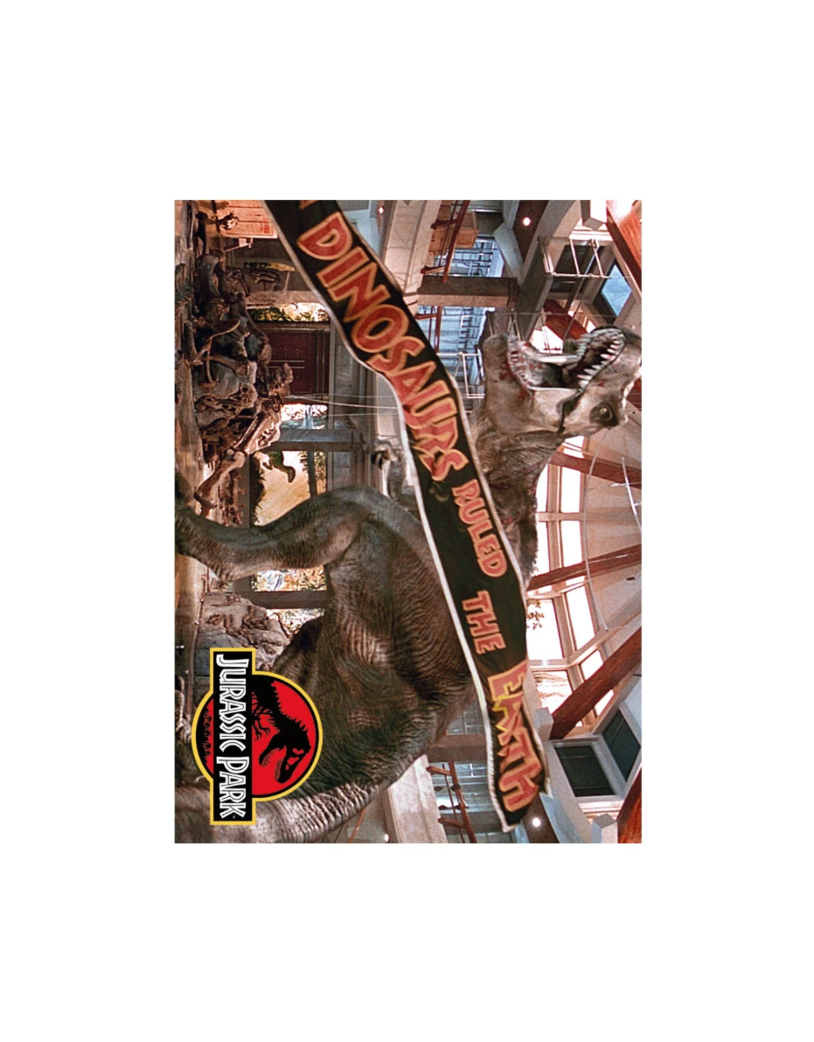 NMR Jurassic Park T-Rex Banner Flat Magnet