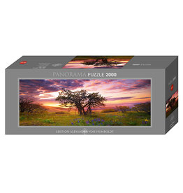 Heye Oak Tree - Panorama 2000pc