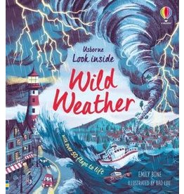 Usborne Look Inside: Wild Weather