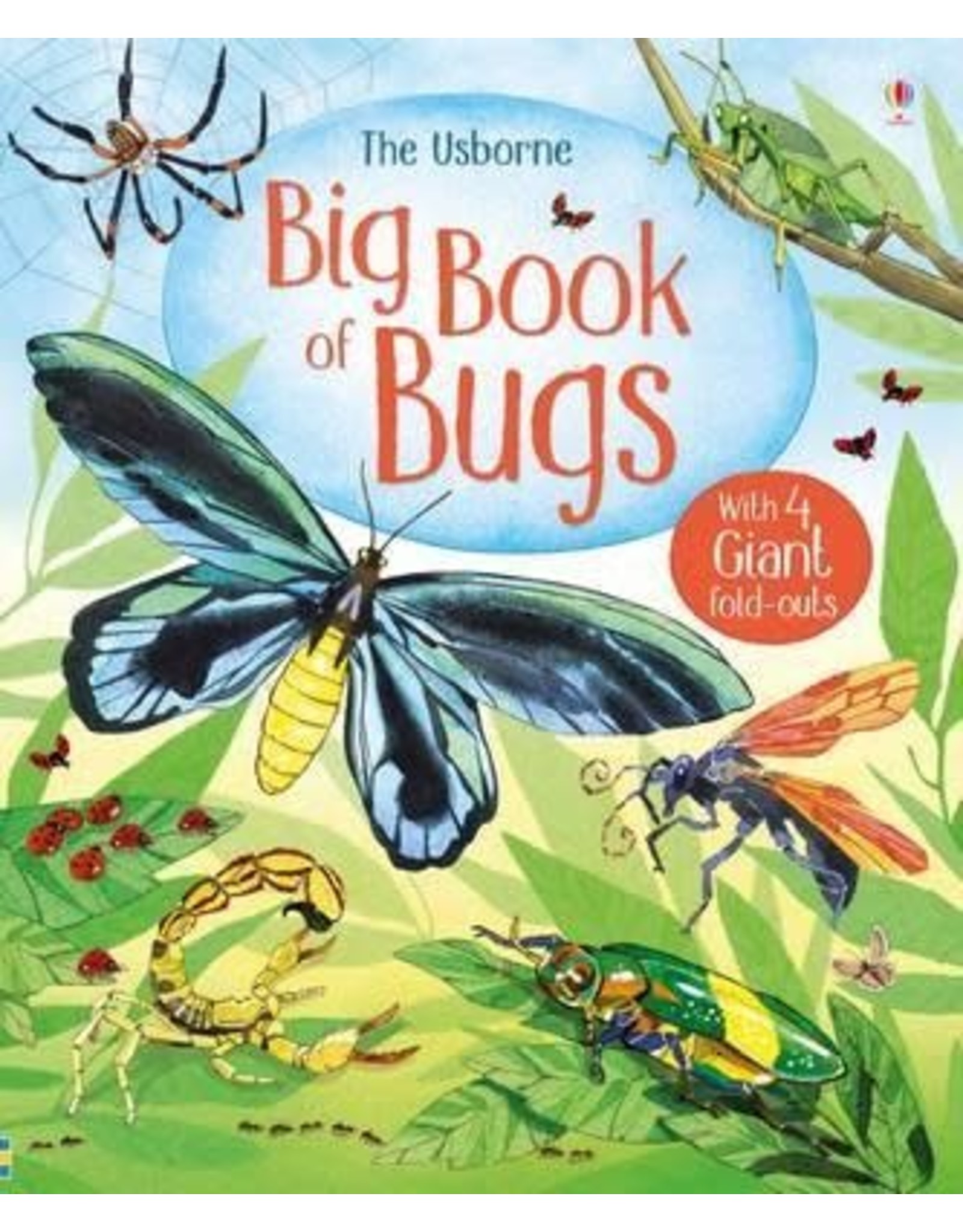Usborne Big Book of Bugs