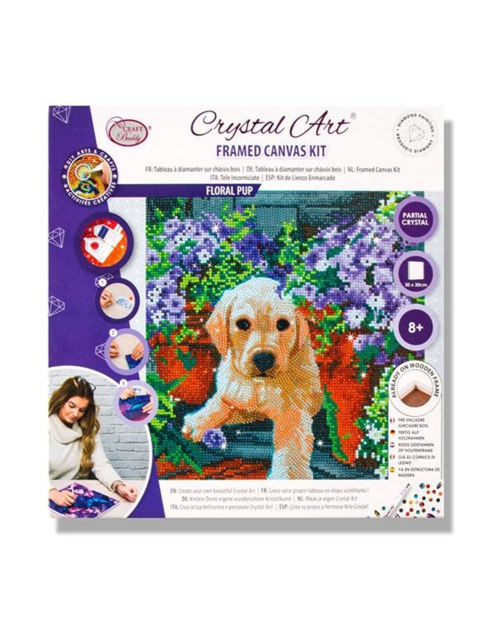 D.I.Y Crystal Art Kit Crystal Art Medium Framed Kit - Floral Pup