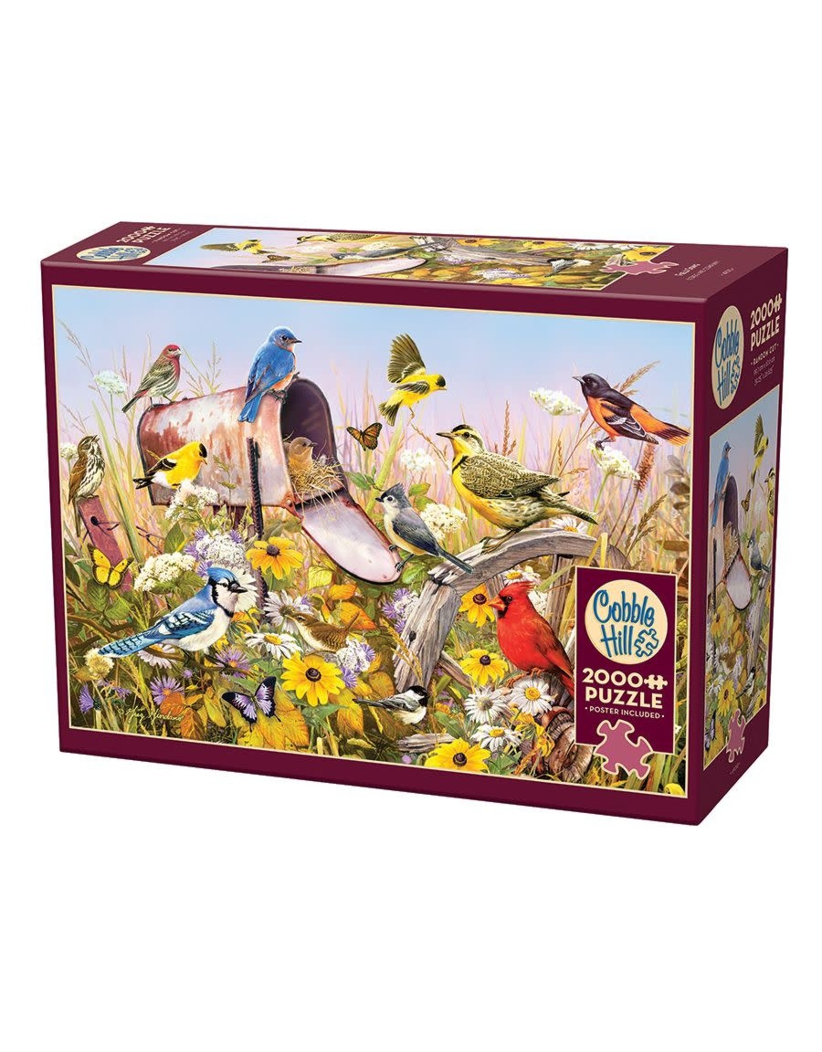 Cobble Hill Field Song 2000 pc