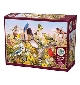 Cobble Hill Field Song 2000 pc