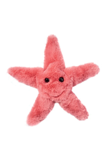 Douglas Coral Starfish