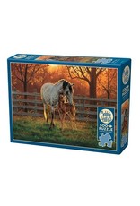 Cobble Hill Quiet Time 500pc