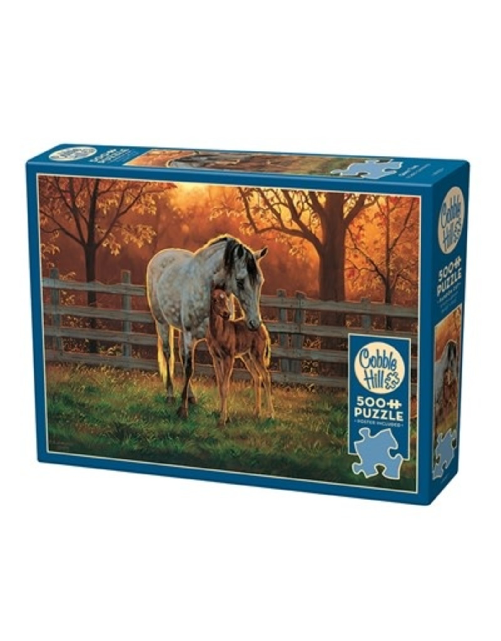 Cobble Hill Quiet Time 500pc