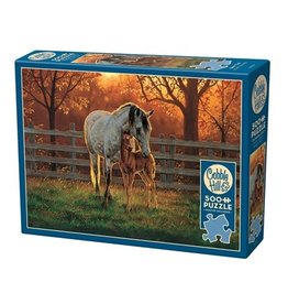Cobble Hill Quiet Time 500pc
