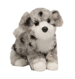 Douglas Miles Aussie Doodle