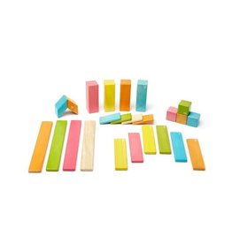 Tegu Tegu 24 Piece Set - Tints