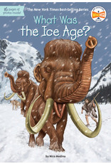 What Was the Ice Age?