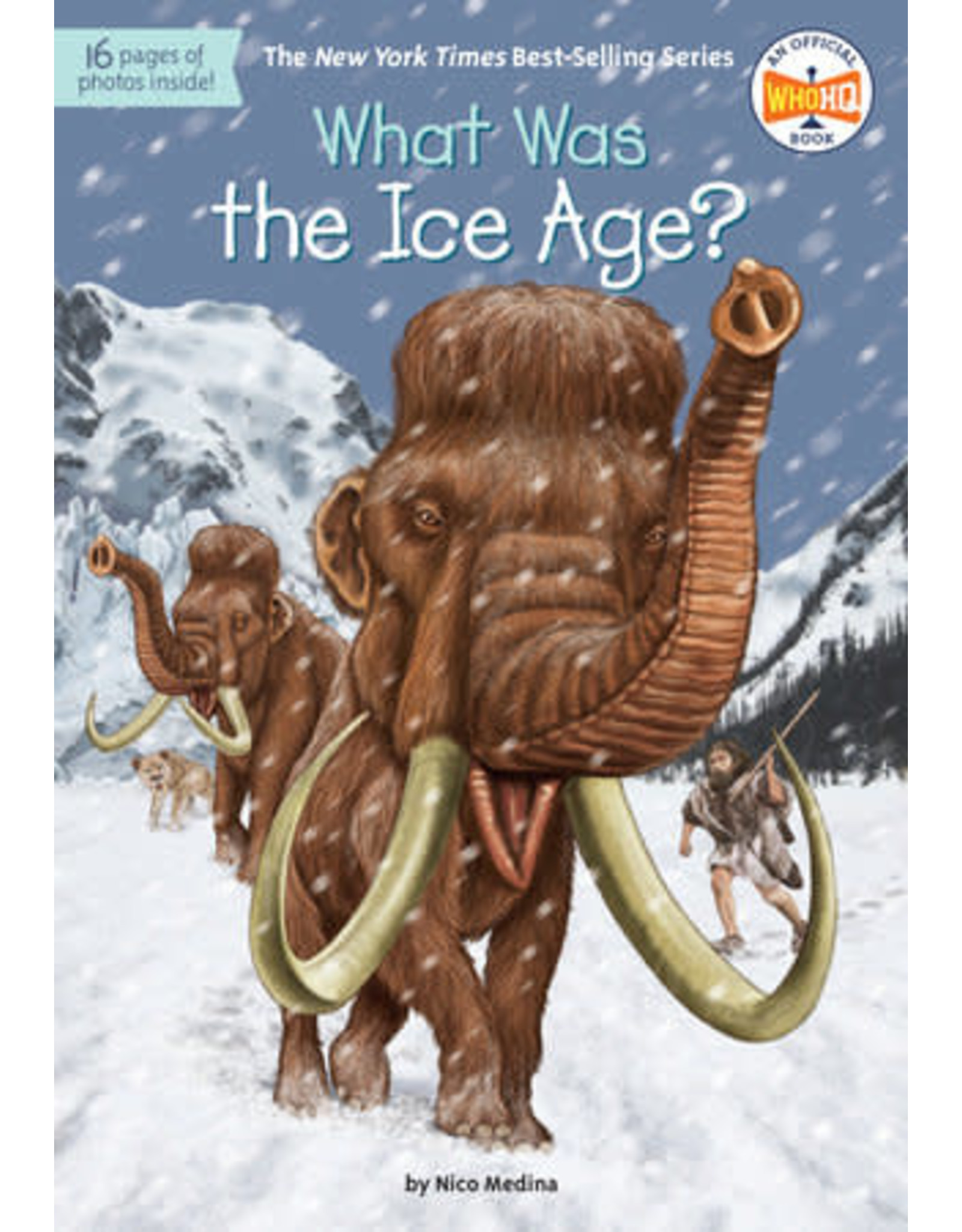 What Was the Ice Age?