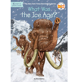 What Was the Ice Age?