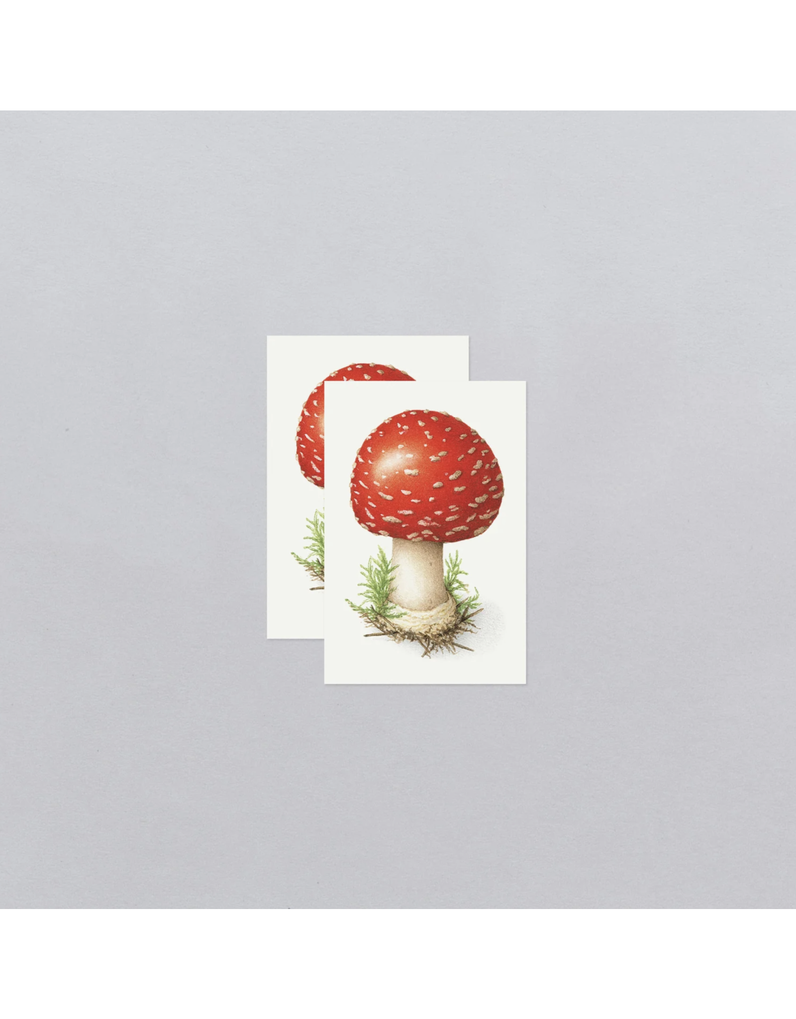 Tattly Toadstool Mushroom Tattoo Pair