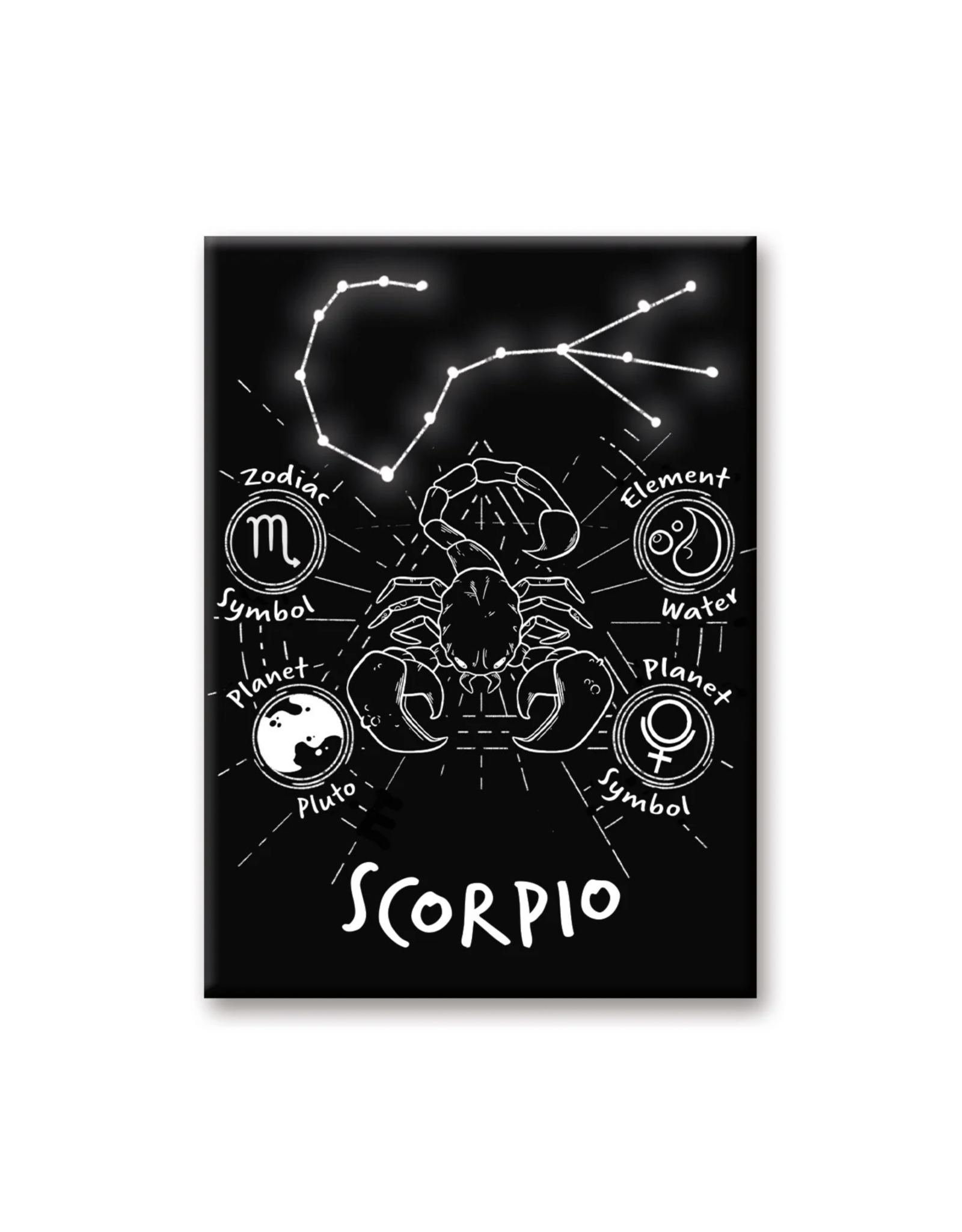 NMR Horoscope Scorpio Flat Magnet