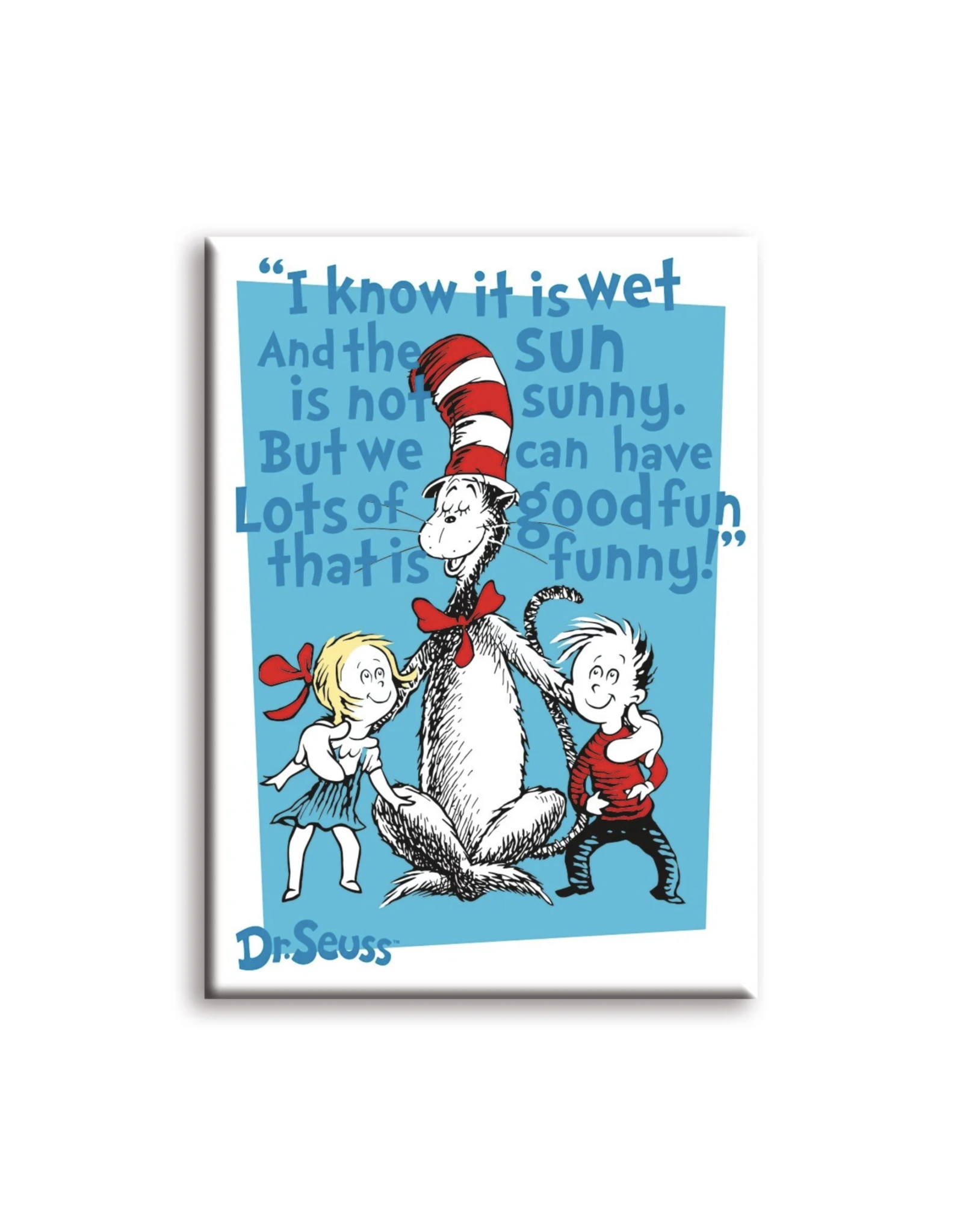 NMR The Cat in the Hat Lots of Fun Flat Magnet