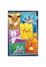 Pokemon - Group Collage Poster