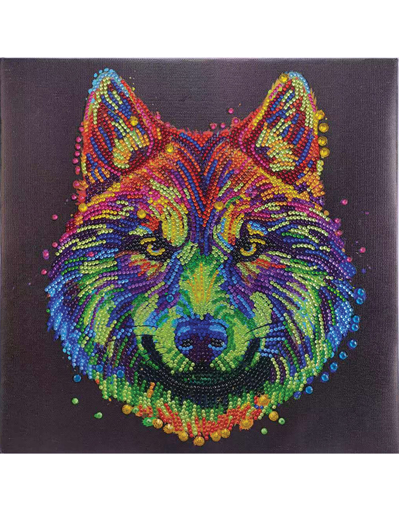 D.I.Y Crystal Art Kit Crystal Art Medium Framed Kit - Colourful Wolf