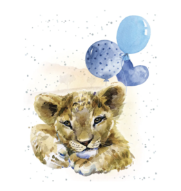 Pride and Joy Gift Enclosure