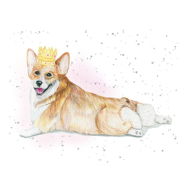 Hey Corgeous Gift Enclosure