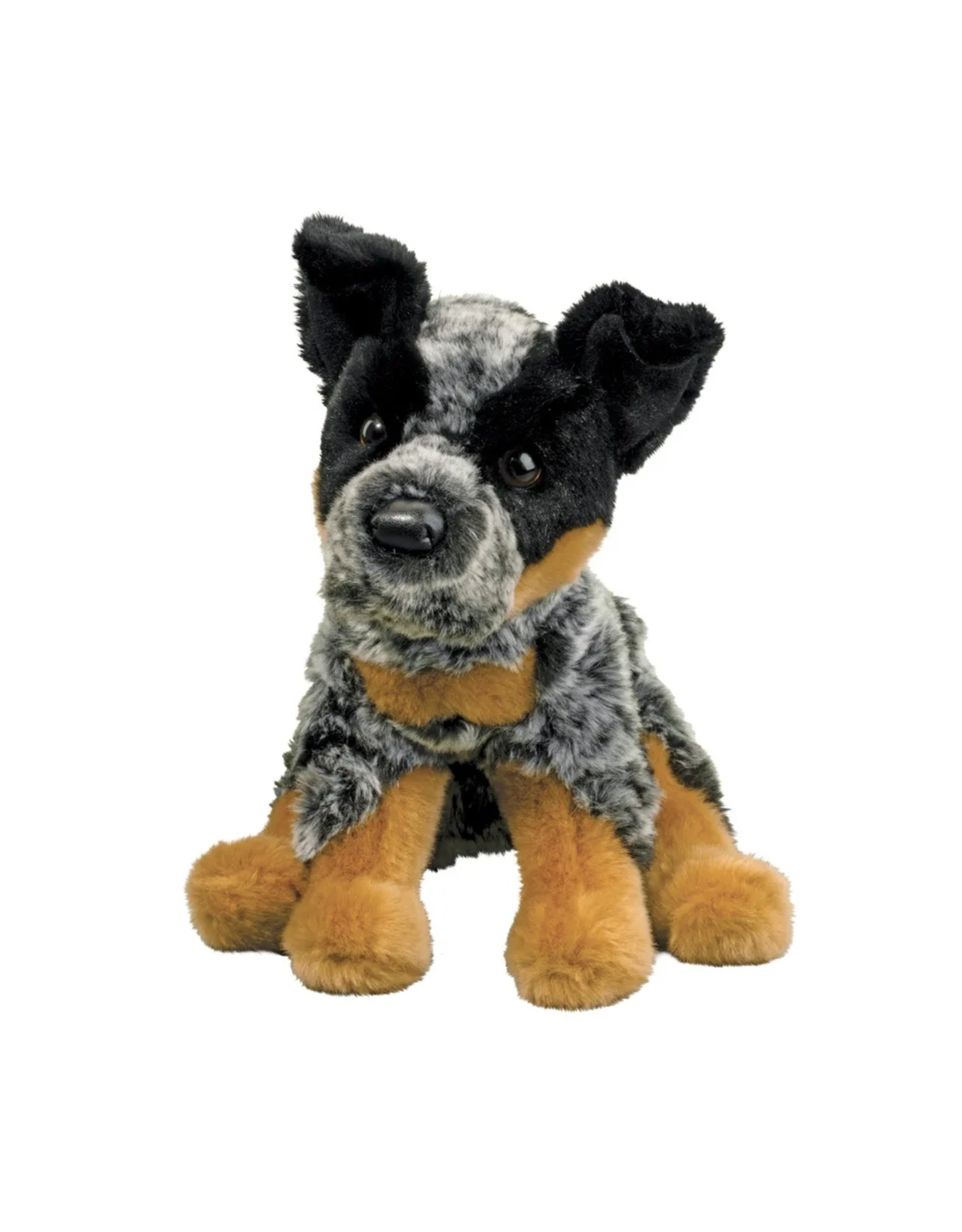 Douglas Dexter Australian Cattle Dog