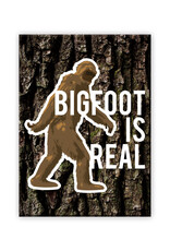 NMR Bigfoot Real Flat Magnet