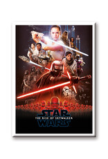 NMR Star Wars – Episode 9 Poster Flat Magnet