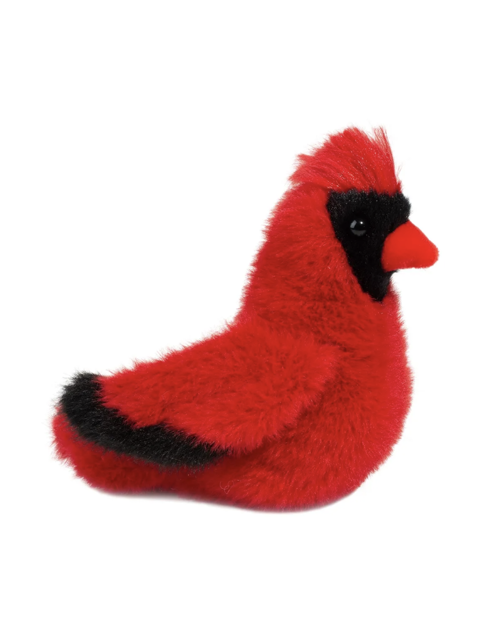 Douglas Carmine Cardinal