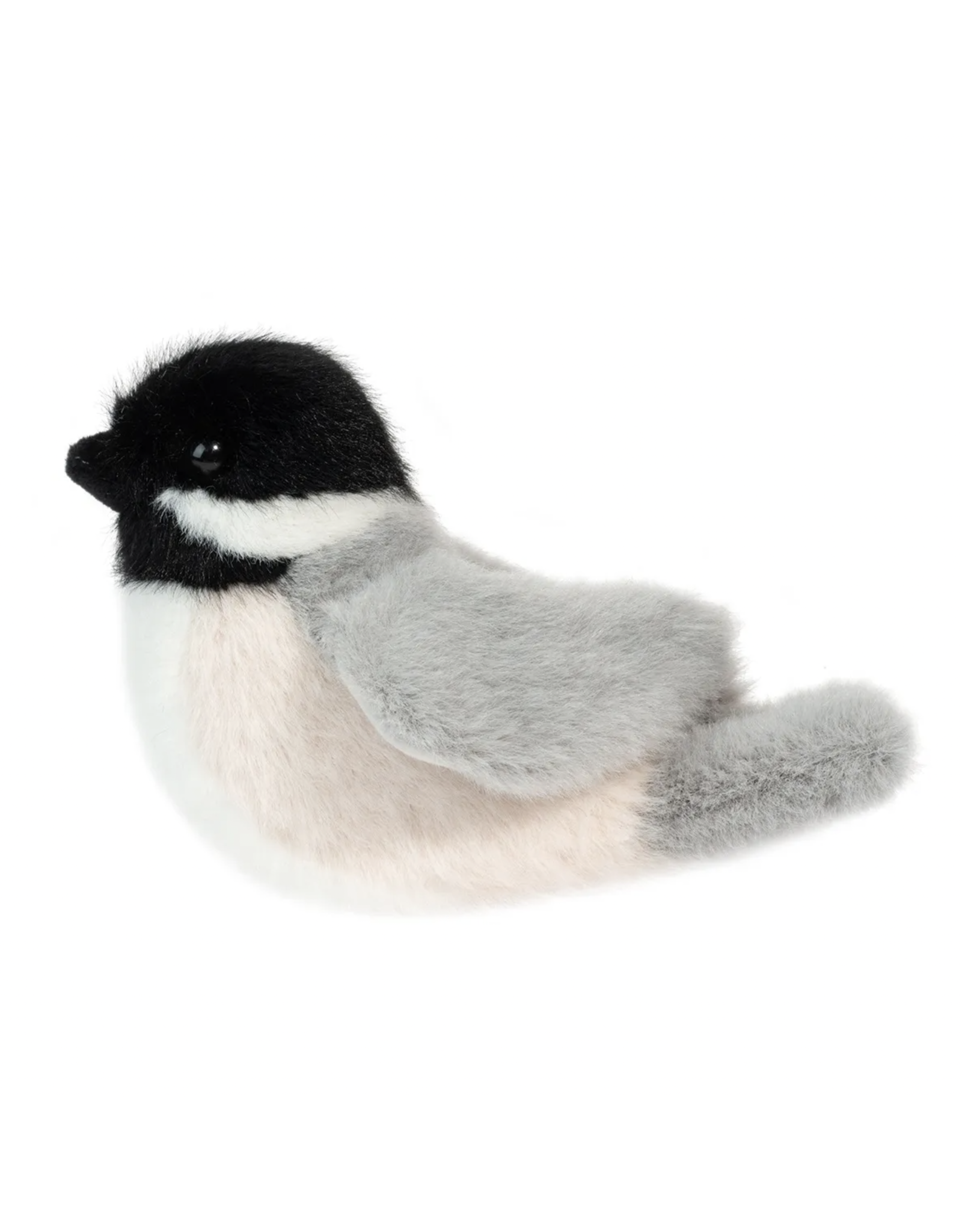 Douglas Chipper Chickadee Bird