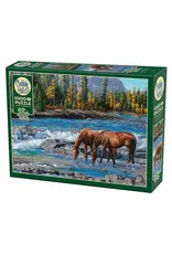 Cobble Hill On the Rocks 1000pc