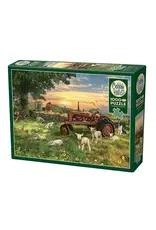 Cobble Hill Field at Sunrise 1000pc